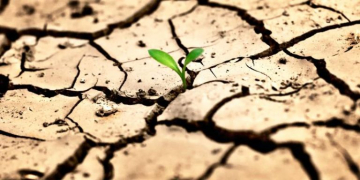 ENOUGH FOR US ALL: FOOD SECURITY