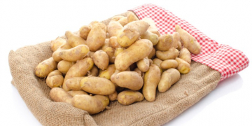 TUMMERS DEVELOPS WASHING LINE FOR FRAGILE POTATOES