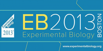 Las patatas blancas aumentan la ingesta de potasio