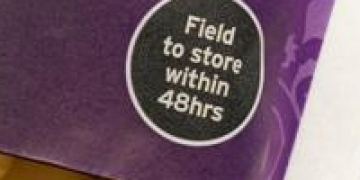 The taste of summer at Sainsbury: British Gems