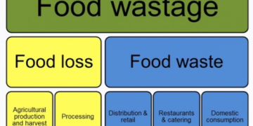 Europatat participates in joint initiative to tackle food waste: ‘Every Crumb Counts’
