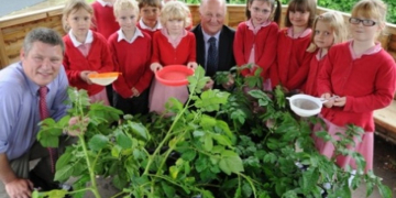 UK’s Grow Your Own Potatoes: MPs lend a hand at harvesting time