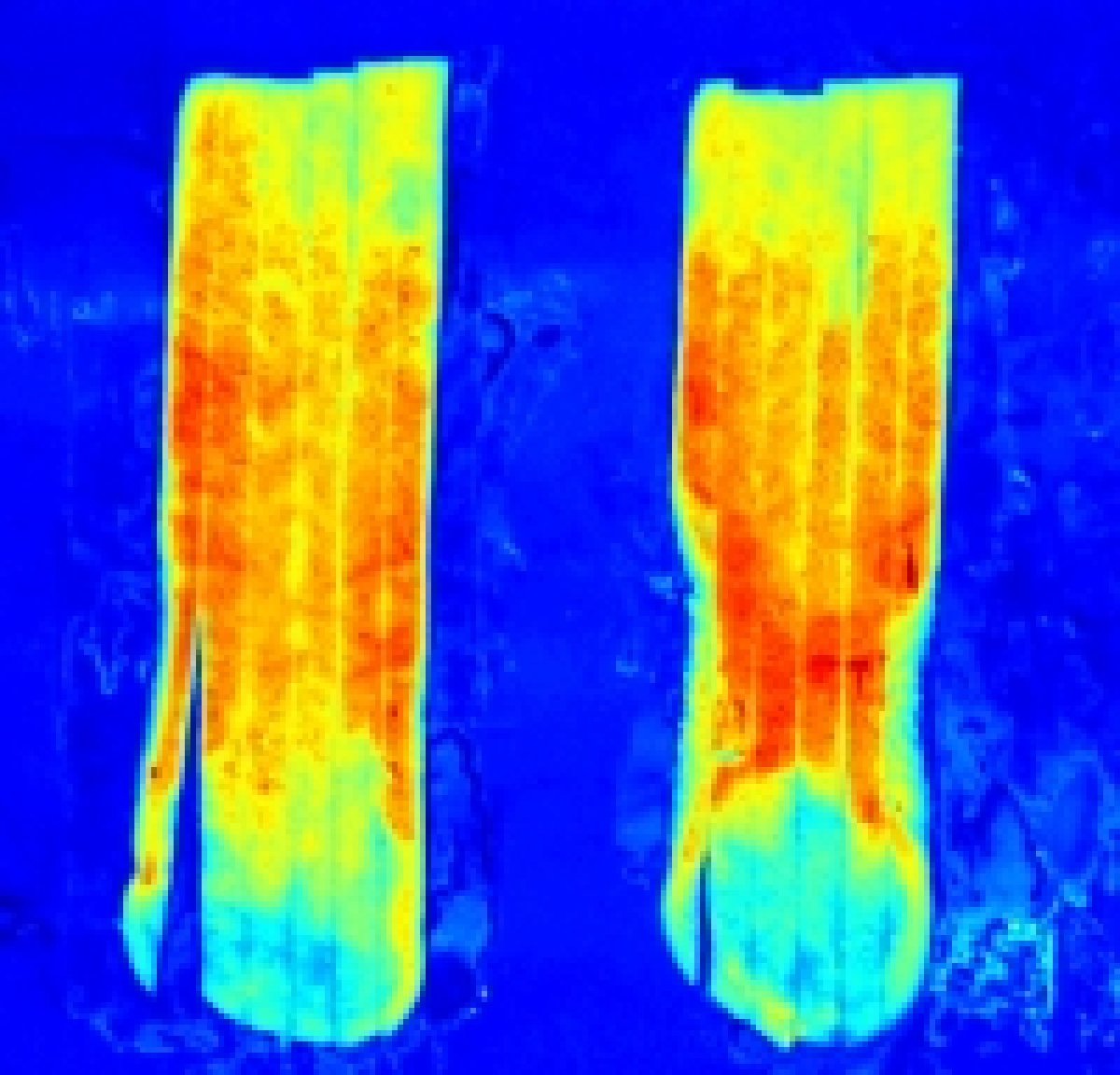 La tecnologia chiave firma un accordo per l'implementazione della tecnologia di imaging chimico (CIT®) per i processori di patate