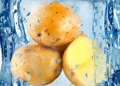 Ice cube and potato isolated on a white background