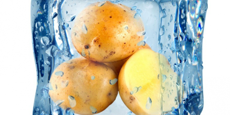 Ice cube and potato isolated on a white background