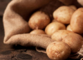 Harvest potatoes in burlap sack on rustic background