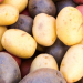 Fresh colorful potatoes red white blue on display at the market