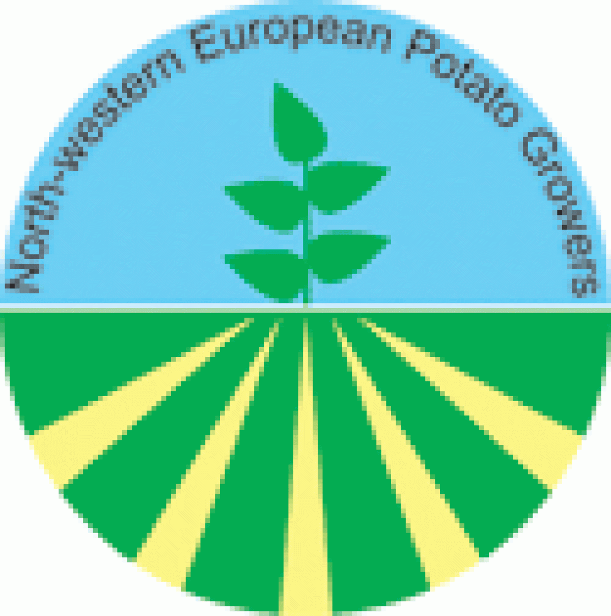 NEPG: Powierzchnia upraw ziemniaków w Europie Północno-Zachodniej wzrosła w 2013 r. o 3.8% do 530 000 ha