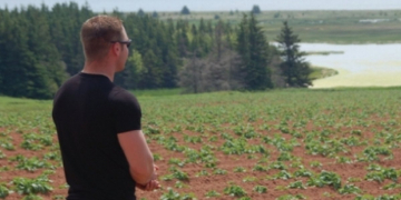 Potato farming on Prince Edward Island is a family business