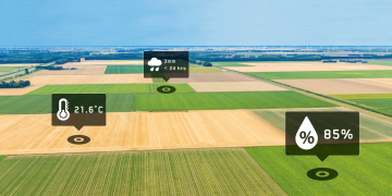 User experience: Delphy