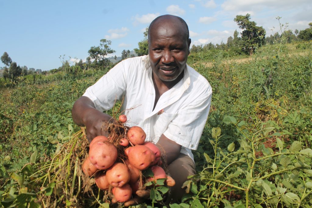 Uganda"s farmers & GM potato seeds 3 16.04Africa potato seed farmers trend
