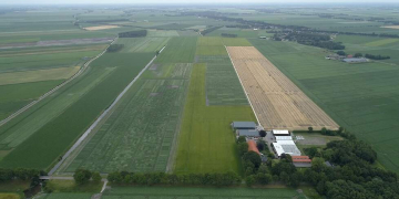 Starch potato breeding  joins forces