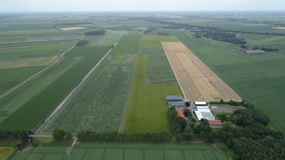Starch potato breeding joins forces 34 Starch potato breeding joins forces