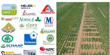 SESUR Semilla y Exportación