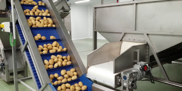 Tomra: 11 steam peelers – 255 tons/hour of potatoes