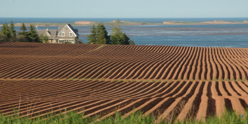 P.E.I. – 4 potato growers honoured for industry contributions