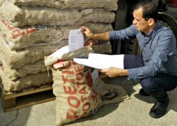 Maltese import potato season