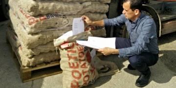 Maltese import potato season