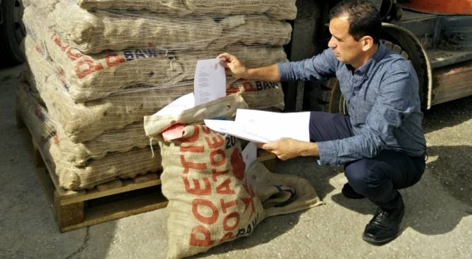 Maltese import potato season