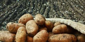 Hallo Potato.  Every week we talk about potatoes. Our viewers are all over the world.