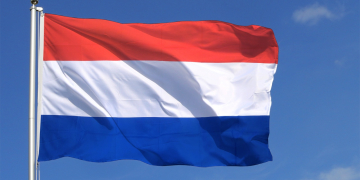 Potato growing in the Netherlands.