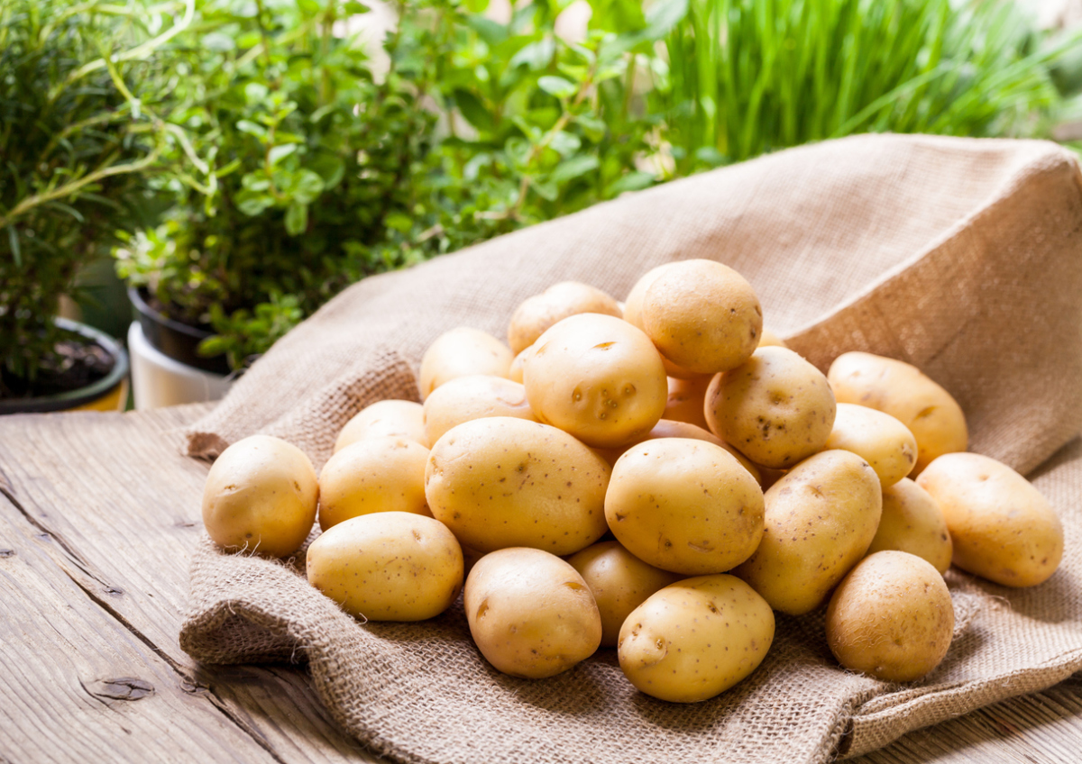 Potato Forum-2021 8 Potato Forum-2021