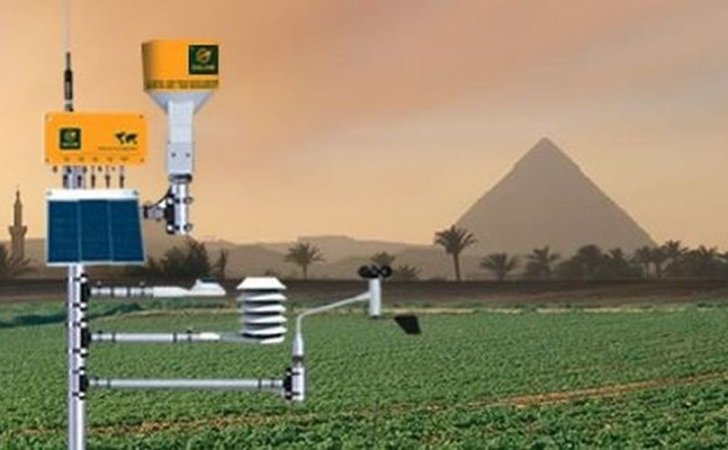 egypt potato cultivation pyramid background 809