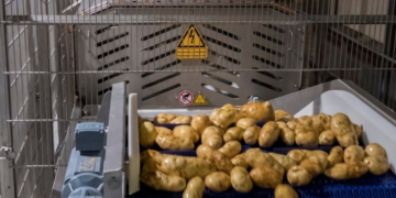 Pulsed Electric Field in Potato Processing: Impact on Sustainability