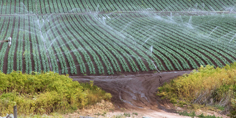 erosion by water