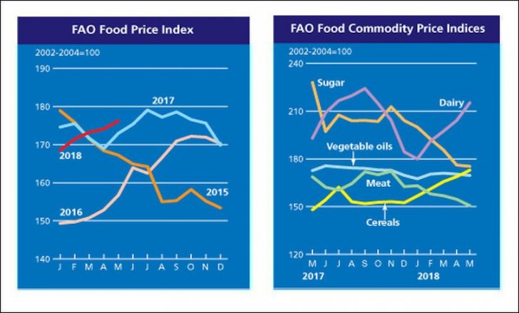 El índice de precios de los alimentos de la FAO aumentó aún más en mayo