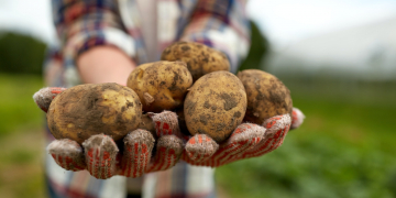 Everything we do is about food.