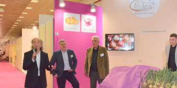 Fokeon Gaia: a new Greek Potato and Onion brand launches this year