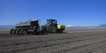 Fight over water in Klamath Basin affects potato growers