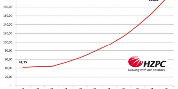 Value of certificate for potato breeder HZPC rises to € 200.00