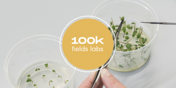 THE RUSSIAN SEED POTATO MARKET TAKES A DIFFERENT WAY