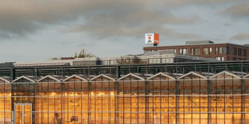 KWS renews offer for Bayer AG vegetable seed business