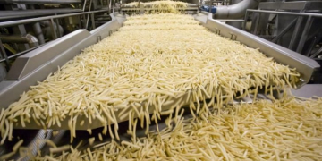 First large-scale French Fries production plant in Russia inaugurated