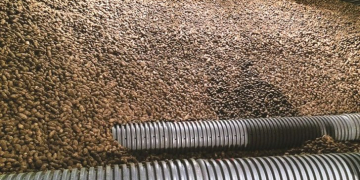 United States Potato Stocks up 2 percent