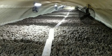 USDA: 9 Percent More Potatoes in Stock than on June 1, 2017