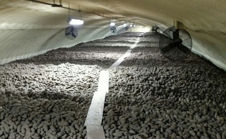 potato storage idaho 809