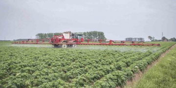 AHDB secured emergency crop protection authorisations helping out UK potato farmers
