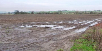 Planting Late? AHDB Potatoes offers tips to avoid pitfalls