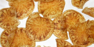 No Liberibacter (Zebra Chip pathogen) found in Potato Psyllids in Western Australia