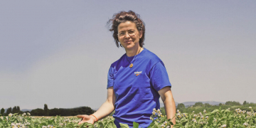 Results of the UREZPAPA project on innovation in potato irrigation