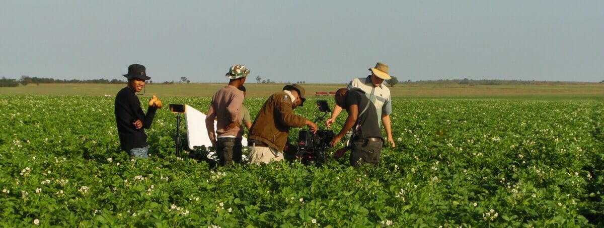 Potatoes South Africa calls for more partnerships between commercial, small-scale producers