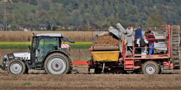 Feds fund 2000 youth jobs in Ag