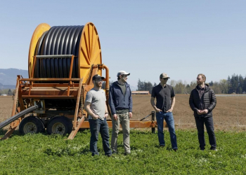 Skagit Valley Natives