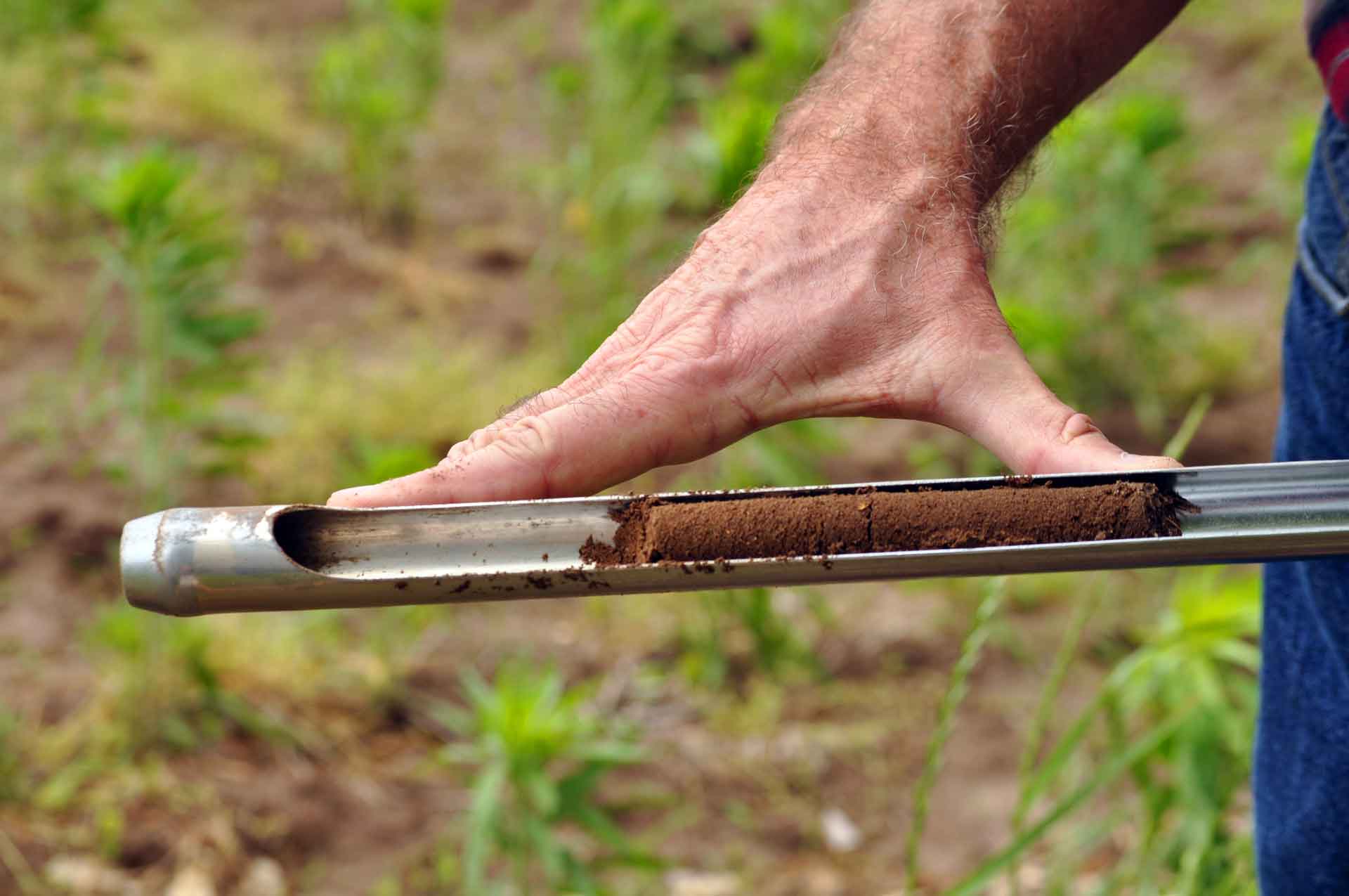 NMI: crop research for additional fertilization does not replace soil analysis