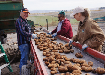 outdoor workers