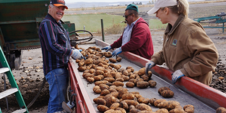 outdoor workers